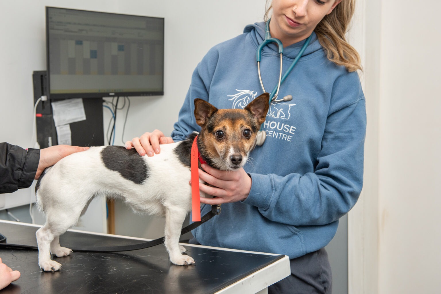 Vaccinations - Veterinary Centre – Warrenhousevets