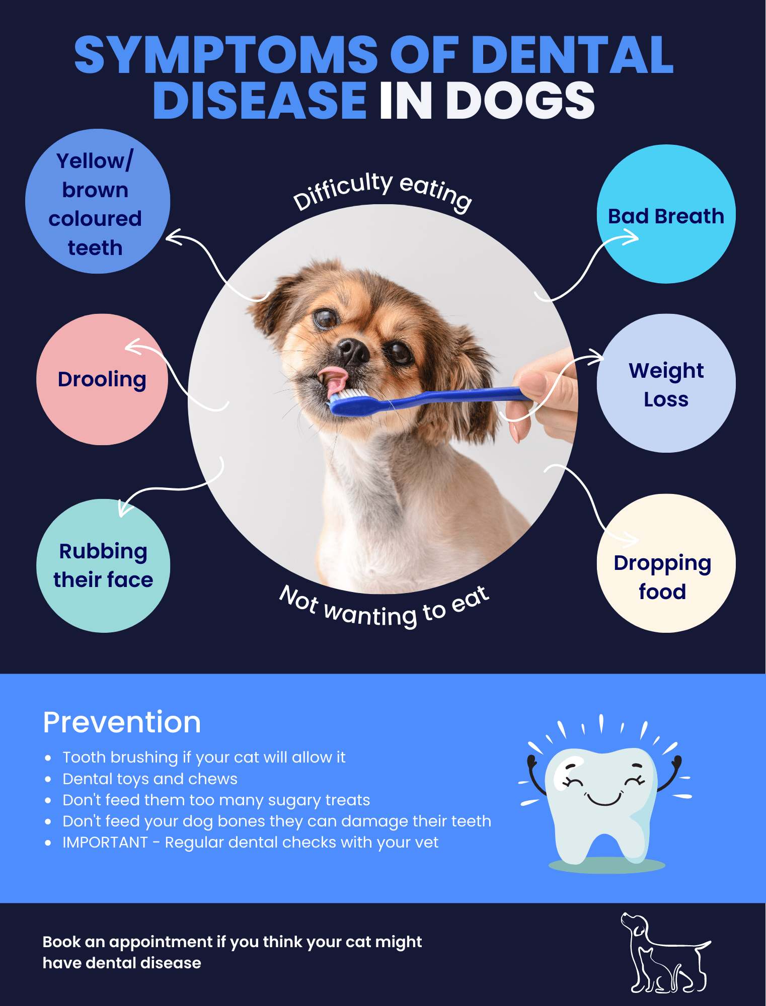 dental-disease-in-dogs-warren-house-veterinary-centre