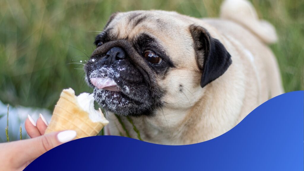 dogs eating ice cream