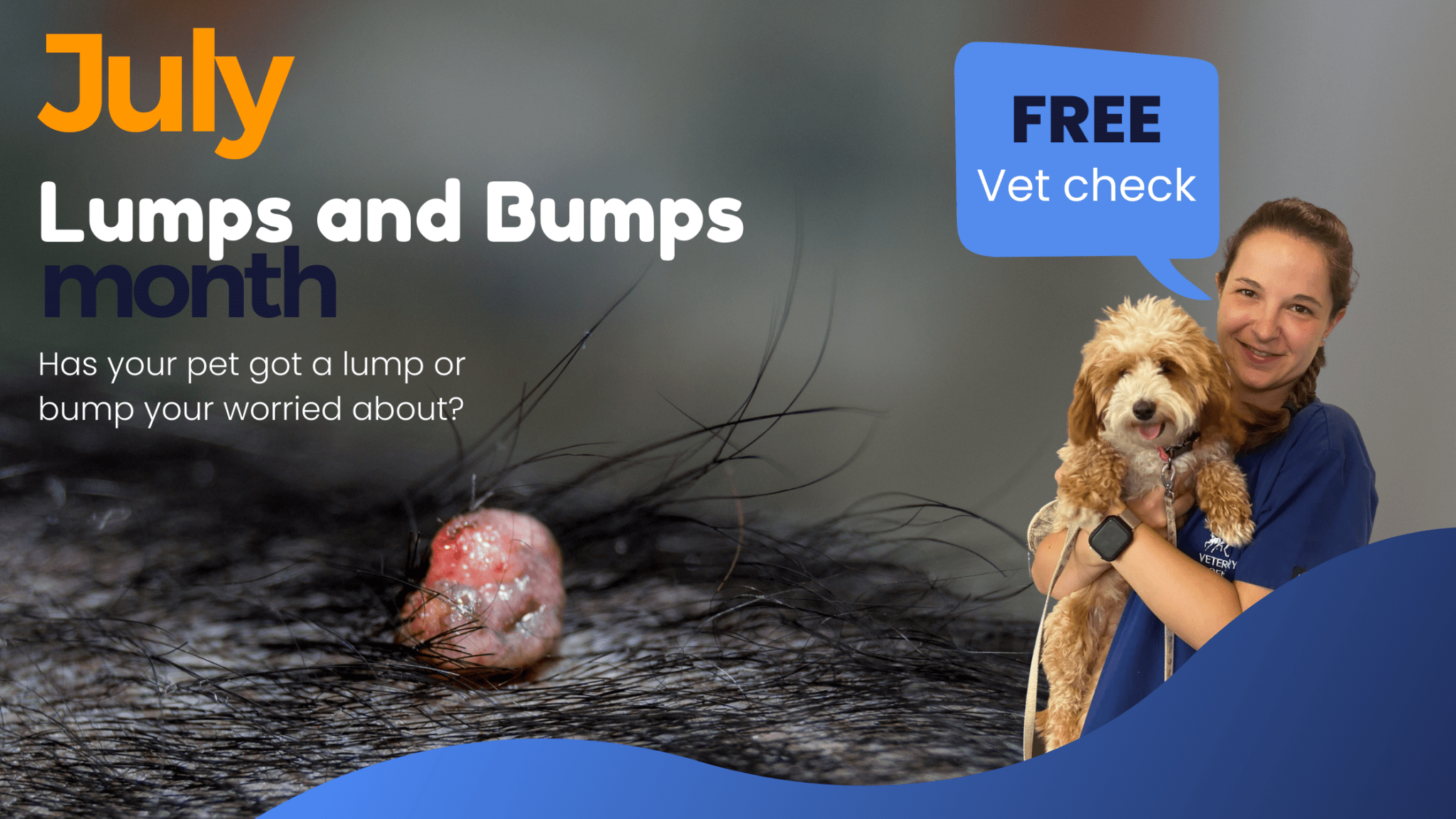 dogs-lumps-bumps-guide-warren-house-veterinary-centre