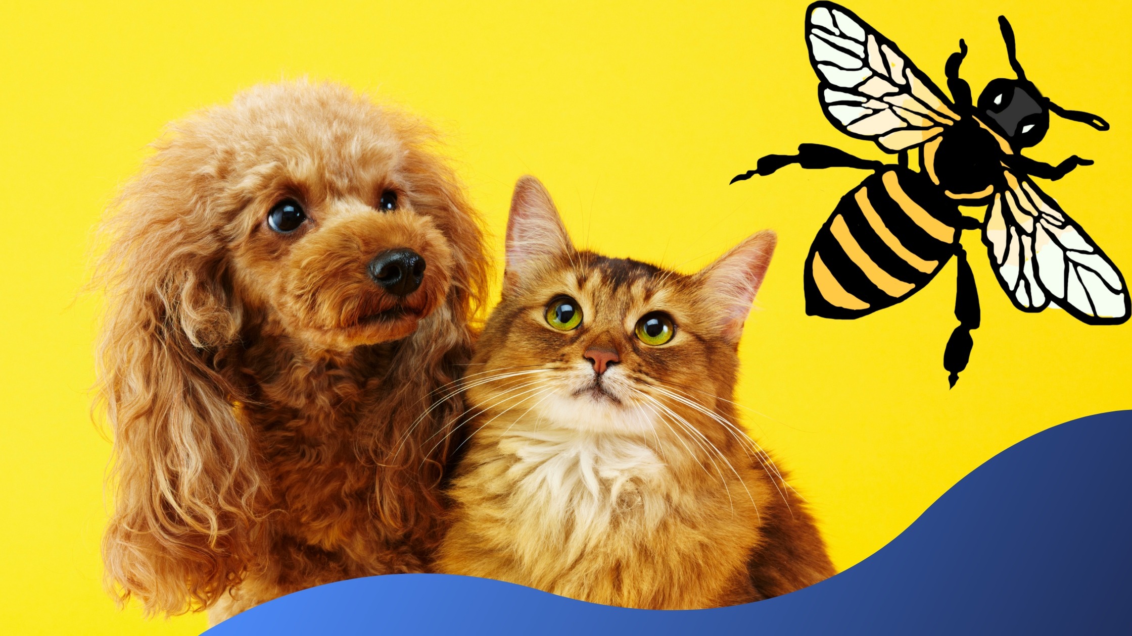 Bee and Wasp Stings In Pets