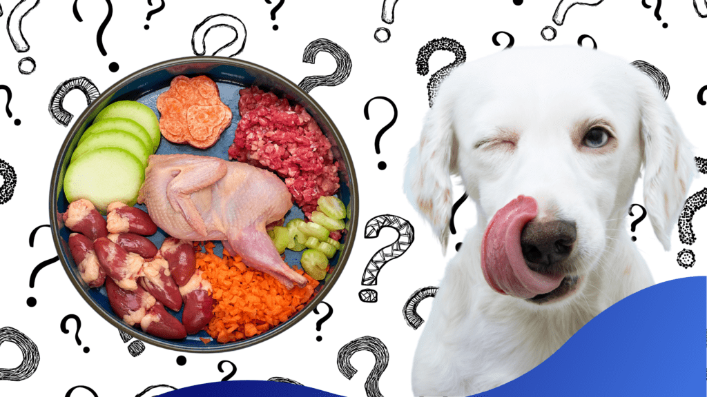 Raw Meat Diet for Dogs Warren House Veterinary Centre