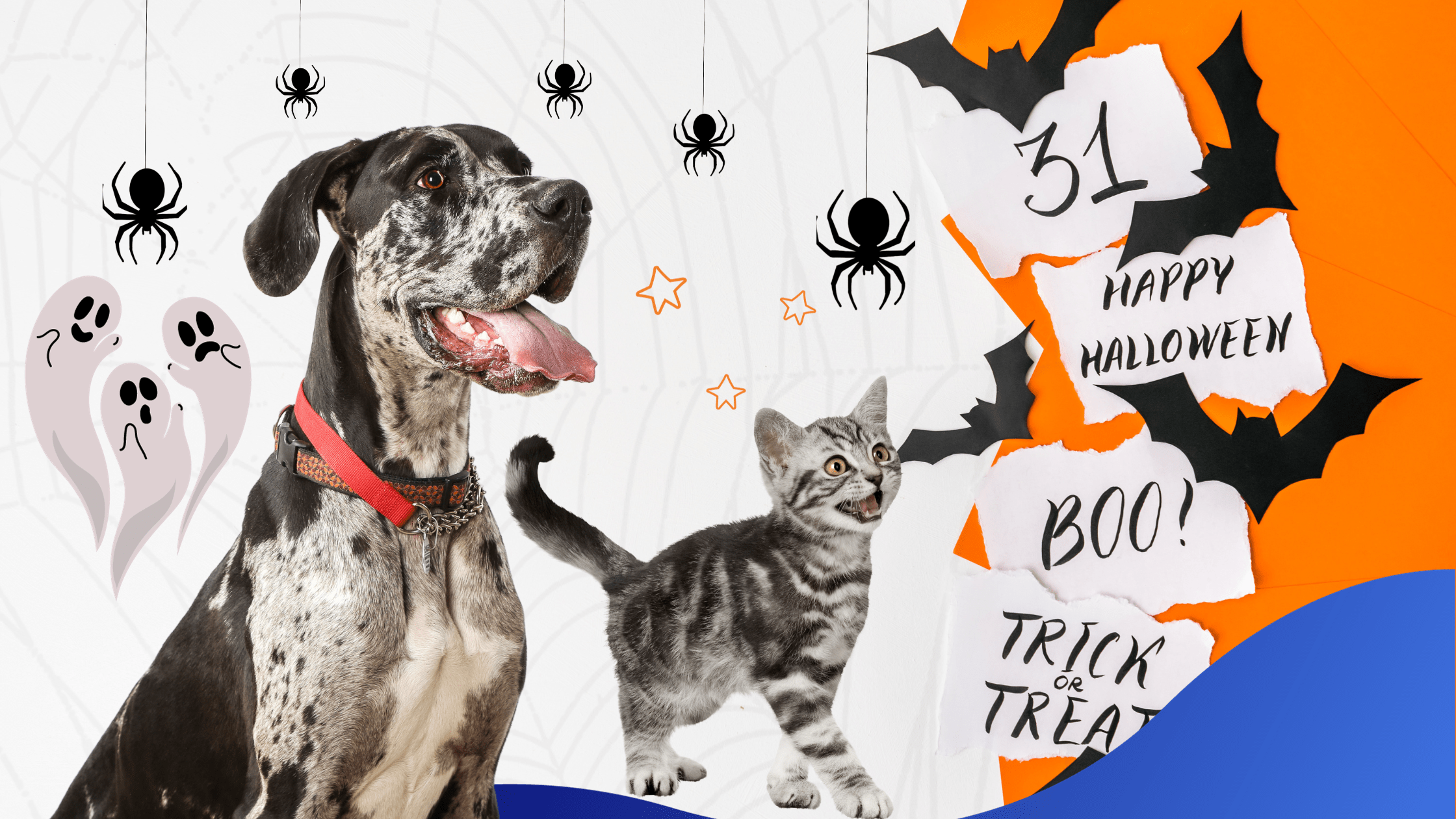 Halloween: Keep Your Pets Safe