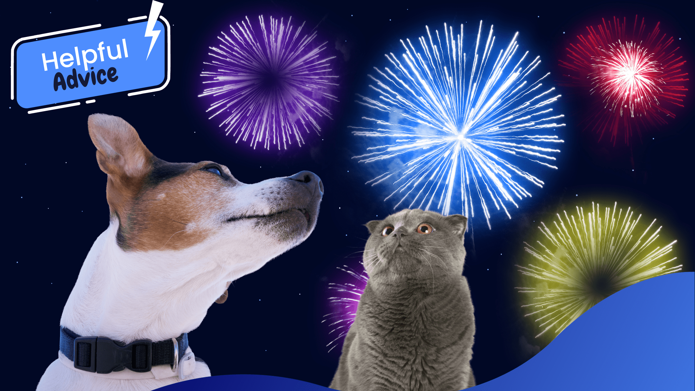 Pets and Fireworks