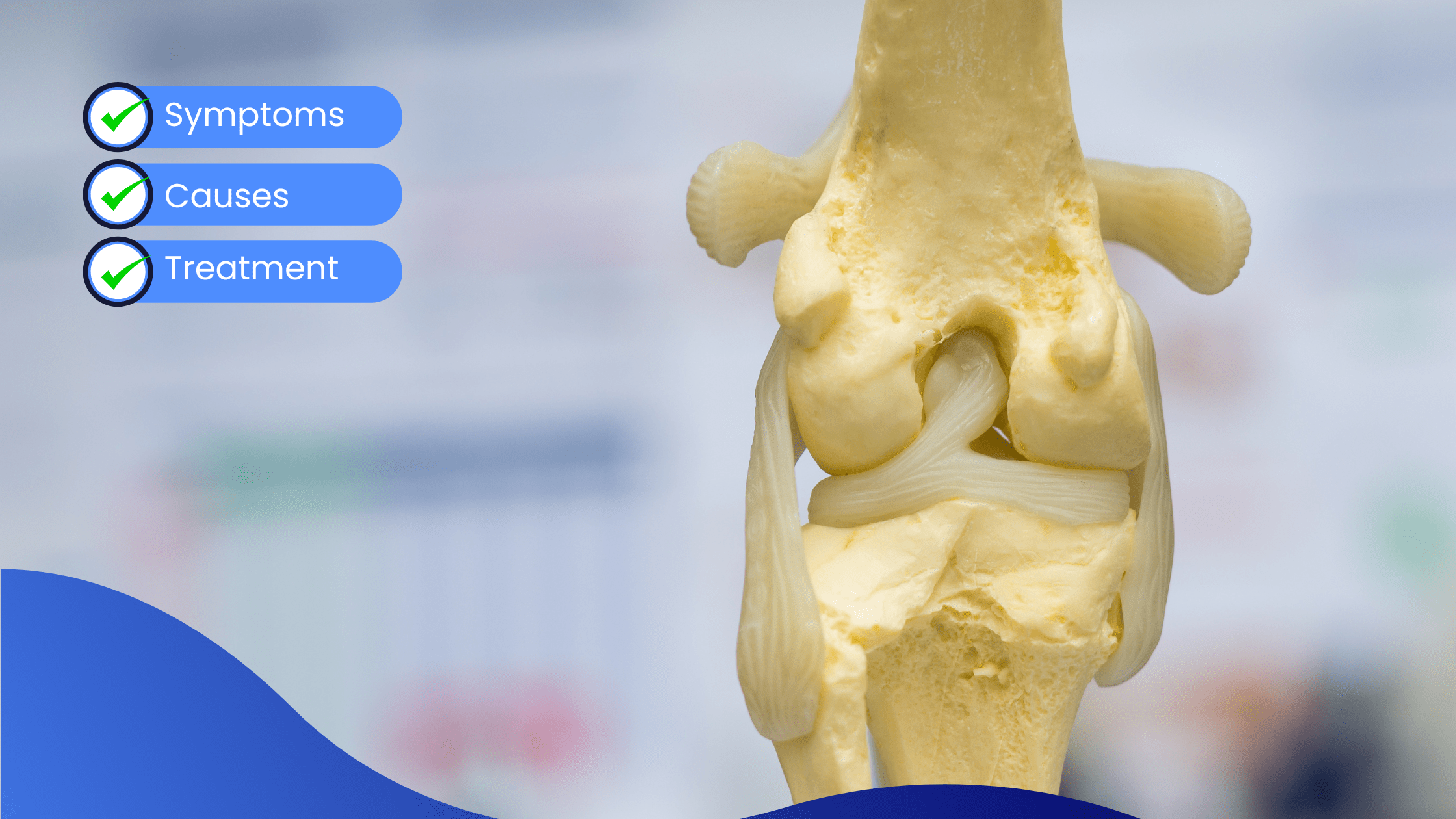 Damaged Cruciate Ligaments