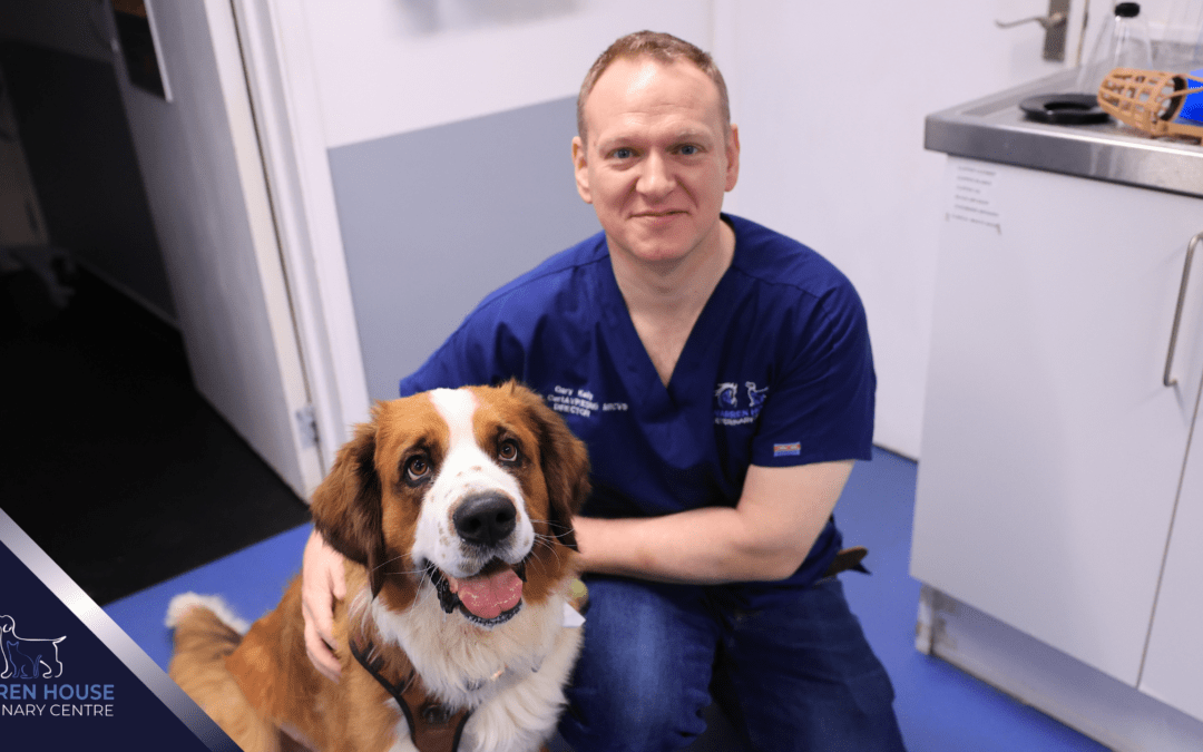 Signs Your Pet Needs A Vet