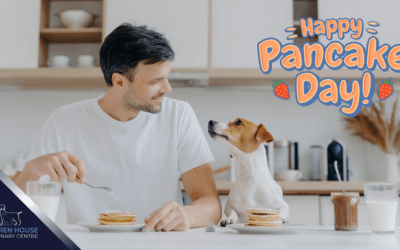 Pancake Day – Safe For Dogs?